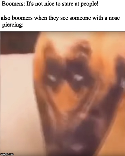 boomers... sigh | Boomers: It's not nice to stare at people! also boomers when they see someone with a nose 
 piercing: | image tagged in boomer,memes,meme,funny,stupid,dogs | made w/ Imgflip meme maker