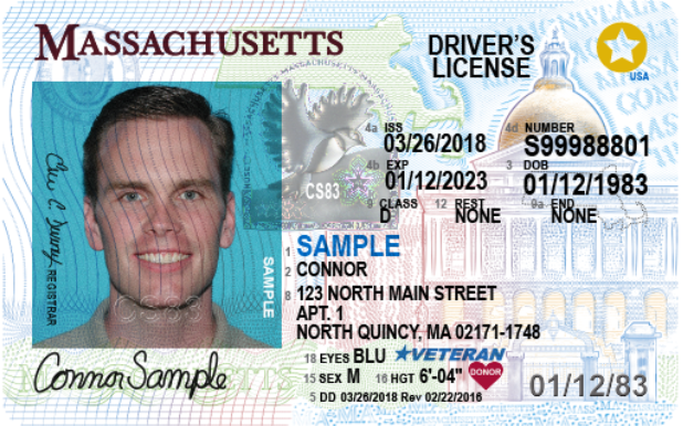 High Quality Serial shitters driver's license Blank Meme Template