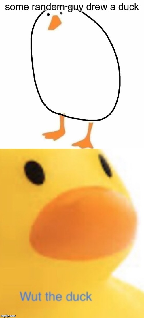 wut the duck is this | some random guy drew a duck | image tagged in wut the duck,funny,memes,duck,random,ugly | made w/ Imgflip meme maker