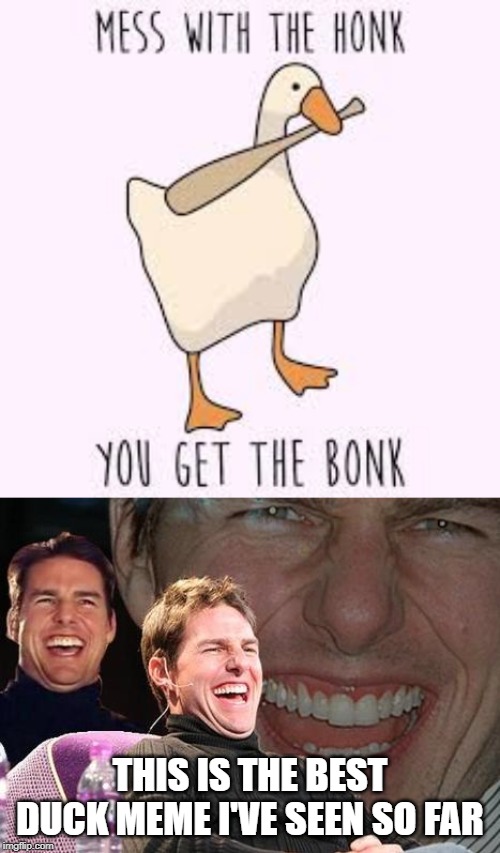 Great duck meme! | THIS IS THE BEST DUCK MEME I'VE SEEN SO FAR | image tagged in tom cruise laugh,honk,ducks,duck,funny,memes | made w/ Imgflip meme maker