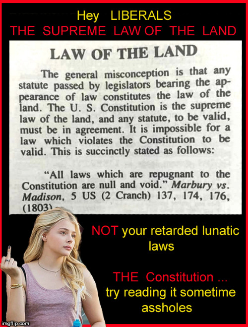 THE Constitution | image tagged in the constitution,political meme,chloe grace moretz,libtards | made w/ Imgflip meme maker