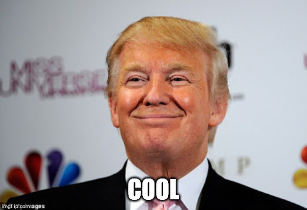 Donald trump approves | COOL | image tagged in donald trump approves | made w/ Imgflip meme maker