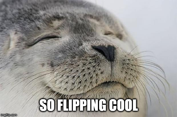 Satisfied Seal Meme | SO FLIPPING COOL | image tagged in memes,satisfied seal | made w/ Imgflip meme maker