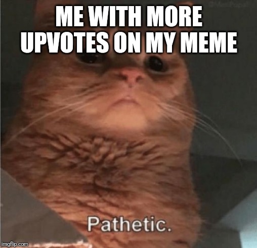 Pathetic Cat | ME WITH MORE UPVOTES ON MY MEME | image tagged in pathetic cat | made w/ Imgflip meme maker