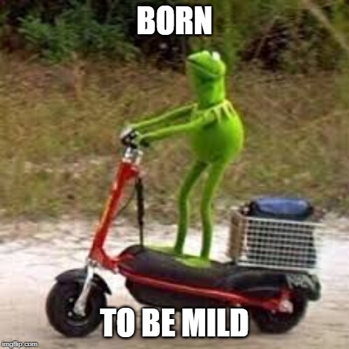 BORN; TO BE MILD | image tagged in kermit the frog,kermit scooter | made w/ Imgflip meme maker