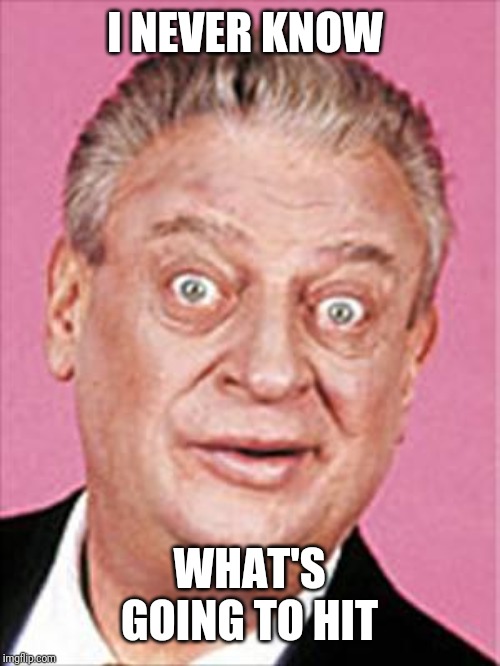 rodney dangerfield | I NEVER KNOW WHAT'S GOING TO HIT | image tagged in rodney dangerfield | made w/ Imgflip meme maker