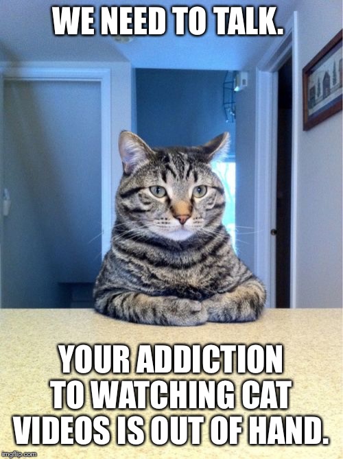 Take A Seat Cat | WE NEED TO TALK. YOUR ADDICTION TO WATCHING CAT VIDEOS IS OUT OF HAND. | image tagged in memes,take a seat cat | made w/ Imgflip meme maker