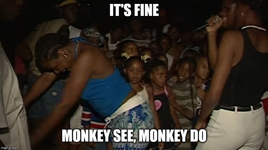 IT'S FINE; MONKEY SEE, MONKEY DO | made w/ Imgflip meme maker