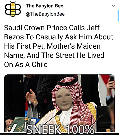 SNEEK 100% | image tagged in what is a bezos | made w/ Imgflip meme maker
