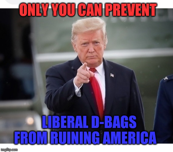 VOTE TRUMP/ LANDSLIDE 2020 | ONLY YOU CAN PREVENT; LIBERAL D-BAGS FROM RUINING AMERICA | image tagged in president trump | made w/ Imgflip meme maker
