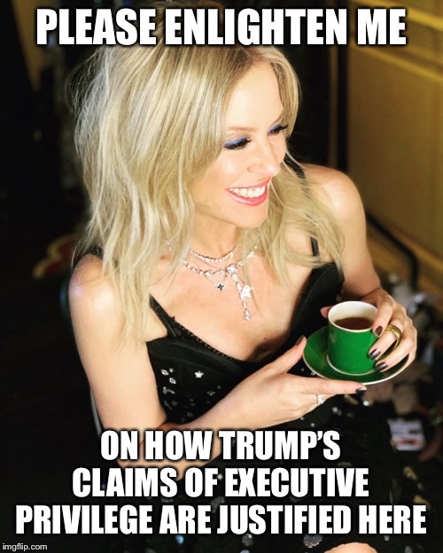 When they insult your intelligence or education, be patient. Ask them a seemingly simple question that will send them spinning. | PLEASE ENLIGHTEN ME ON HOW TRUMP’S CLAIMS OF EXECUTIVE PRIVILEGE ARE JUSTIFIED HERE | image tagged in kylie coffee 2,trump impeachment,impeach trump,education,law,lawyer | made w/ Imgflip meme maker