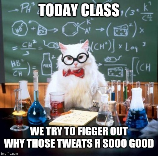 Chemistry Cat Meme | TODAY CLASS; WE TRY TO FIGGER OUT WHY THOSE TWEATS R SOOO GOOD | image tagged in memes,chemistry cat | made w/ Imgflip meme maker
