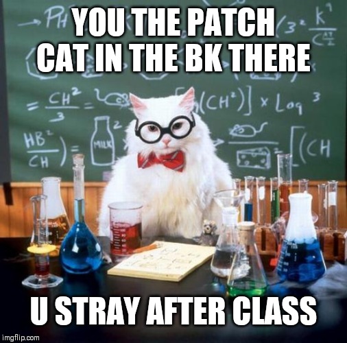 Chemistry Cat Meme | YOU THE PATCH CAT IN THE BK THERE; U STRAY AFTER CLASS | image tagged in memes,chemistry cat | made w/ Imgflip meme maker