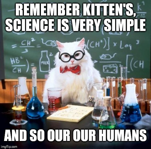 Chemistry Cat | REMEMBER KITTEN'S, SCIENCE IS VERY SIMPLE; AND SO OUR OUR HUMANS | image tagged in memes,chemistry cat | made w/ Imgflip meme maker