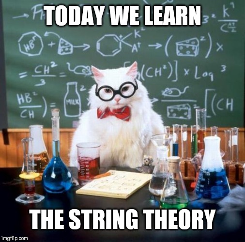 Chemistry Cat | TODAY WE LEARN; THE STRING THEORY | image tagged in memes,chemistry cat | made w/ Imgflip meme maker