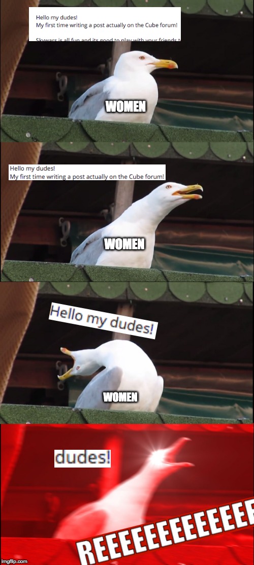 Inhaling Seagull Meme | WOMEN; WOMEN; WOMEN | image tagged in memes,inhaling seagull | made w/ Imgflip meme maker
