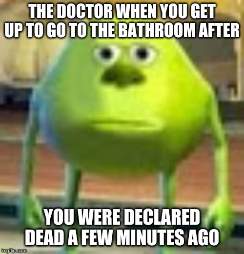 Sully Wazowski | THE DOCTOR WHEN YOU GET UP TO GO TO THE BATHROOM AFTER; YOU WERE DECLARED DEAD A FEW MINUTES AGO | image tagged in sully wazowski | made w/ Imgflip meme maker