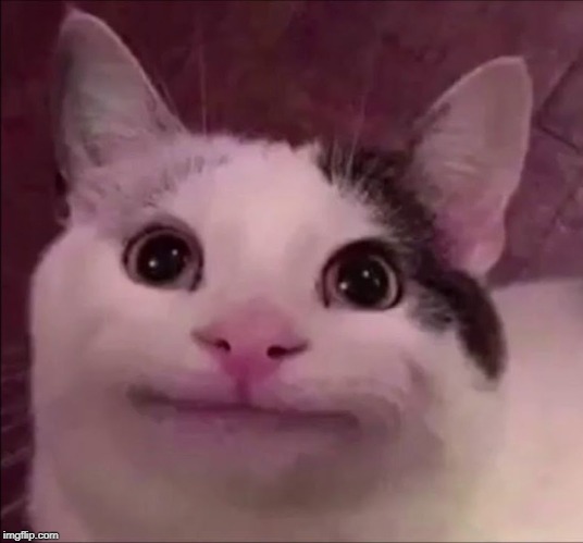 Awkward Smile Cat | image tagged in awkward smile cat | made w/ Imgflip meme maker