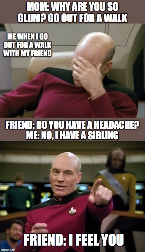MOM: WHY ARE YOU SO GLUM? GO OUT FOR A WALK; ME WHEN I GO OUT FOR A WALK WITH MY FRIEND; FRIEND: DO YOU HAVE A HEADACHE?
ME: NO, I HAVE A SIBLING; FRIEND: I FEEL YOU | image tagged in memes,captain picard facepalm,picard you da man | made w/ Imgflip meme maker