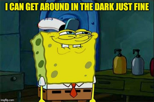 Don't You Squidward Meme | I CAN GET AROUND IN THE DARK JUST FINE | image tagged in memes,dont you squidward | made w/ Imgflip meme maker