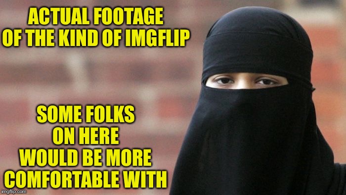Some folks are objecting to seeing photos of women on ImgFlip and their position basically amounts to this. | ACTUAL FOOTAGE OF THE KIND OF IMGFLIP; SOME FOLKS ON HERE WOULD BE MORE COMFORTABLE WITH | image tagged in not funny burka,imgflip users,imgflip trolls,imgflip,we dont do that here,cringe | made w/ Imgflip meme maker