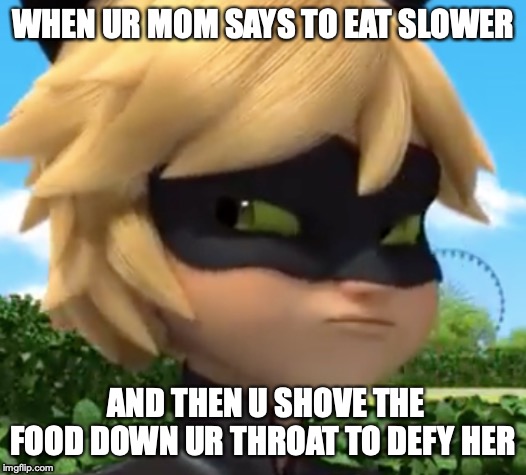 WHEN UR MOM SAYS TO EAT SLOWER; AND THEN U SHOVE THE FOOD DOWN UR THROAT TO DEFY HER | image tagged in so true memes,lol,funny memes | made w/ Imgflip meme maker