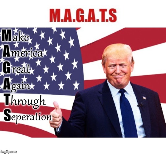 ake; COVELL BELLAMY III; merica; reat; gain; hrough; eperation | image tagged in magats | made w/ Imgflip meme maker