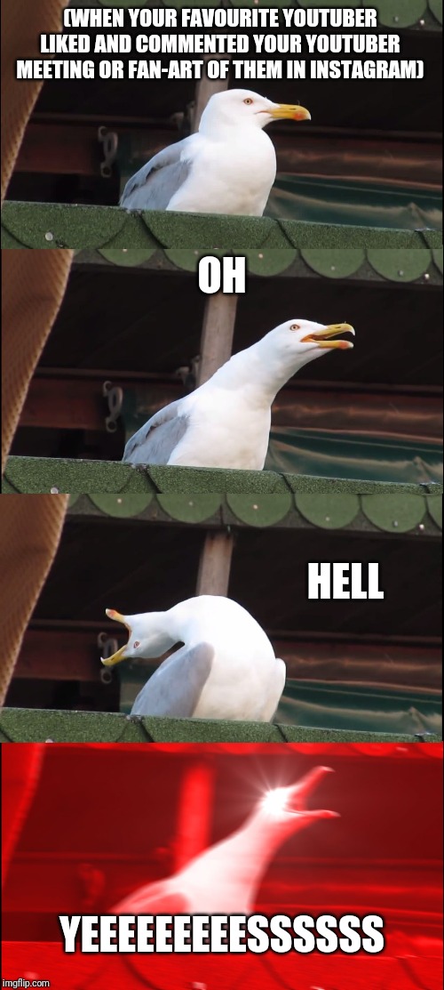 Inhaling Seagull | (WHEN YOUR FAVOURITE YOUTUBER LIKED AND COMMENTED YOUR YOUTUBER MEETING OR FAN-ART OF THEM IN INSTAGRAM); OH; HELL; YEEEEEEEEESSSSSS | image tagged in memes,inhaling seagull | made w/ Imgflip meme maker