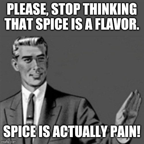Correction guy | PLEASE, STOP THINKING THAT SPICE IS A FLAVOR. SPICE IS ACTUALLY PAIN! | image tagged in correction guy,memes,spice | made w/ Imgflip meme maker