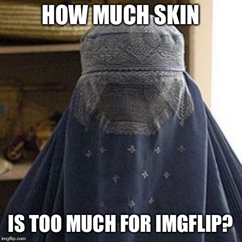 oppressed-burqa.jpg | HOW MUCH SKIN; IS TOO MUCH FOR IMGFLIP? | image tagged in oppressed-burqajpg,women rights,womens rights,conservative logic,imgflip,bikini | made w/ Imgflip meme maker