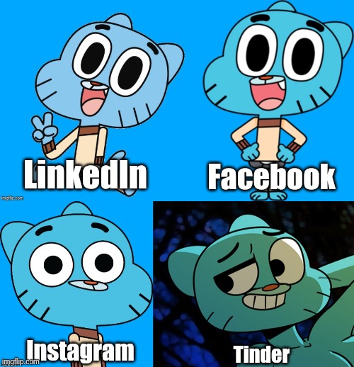 some "crappy" meme | Facebook; LinkedIn; Instagram; Tinder | image tagged in memes,funny,dolly parton,the amazing world of gumball,gumball,gumball watterson | made w/ Imgflip meme maker