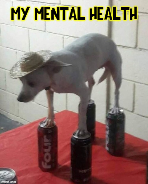 This is the most stable I've been in quite awhile | MY MENTAL HEALTH | image tagged in vince vance,chihuahua,standing on,soda,cans,mental health | made w/ Imgflip meme maker
