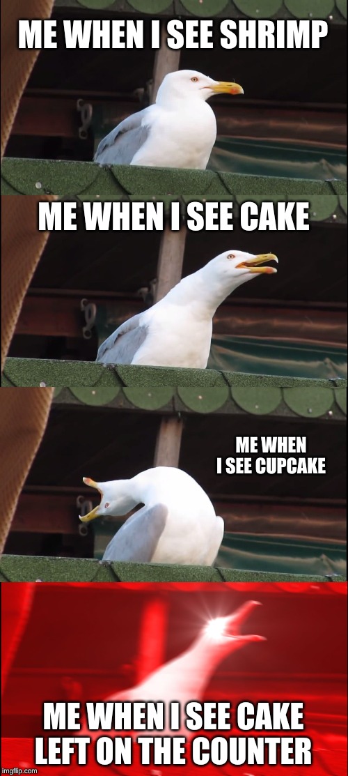 Inhaling Seagull Meme | ME WHEN I SEE SHRIMP; ME WHEN I SEE CAKE; ME WHEN I SEE CUPCAKE; ME WHEN I SEE CAKE LEFT ON THE COUNTER | image tagged in memes,inhaling seagull | made w/ Imgflip meme maker