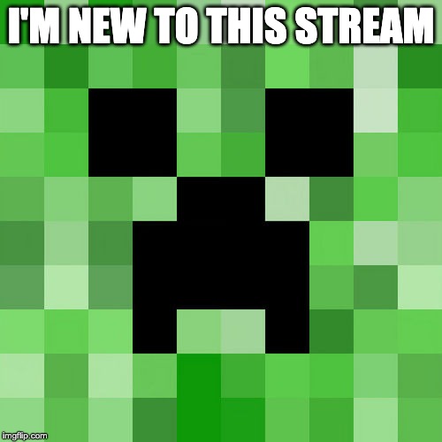 Scumbag Minecraft | I'M NEW TO THIS STREAM | image tagged in memes,scumbag minecraft | made w/ Imgflip meme maker