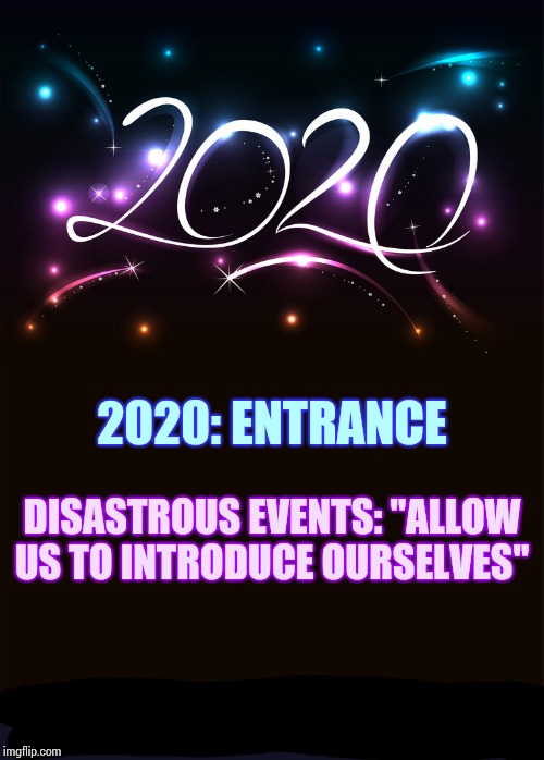 Well, Hello | 2020: ENTRANCE; DISASTROUS EVENTS: "ALLOW US TO INTRODUCE OURSELVES" | image tagged in 2020,memes,adele hello,disaster train,why is the rum gone,i need a drink | made w/ Imgflip meme maker