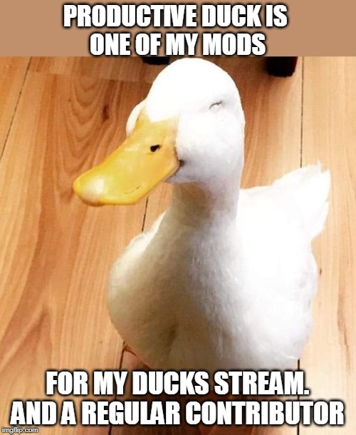 SMILE DUCK | PRODUCTIVE DUCK IS 
ONE OF MY MODS FOR MY DUCKS STREAM.
AND A REGULAR CONTRIBUTOR | image tagged in smile duck | made w/ Imgflip meme maker