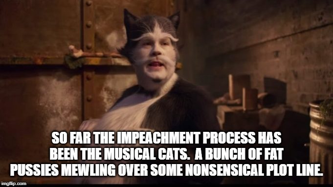 Impeachment is the Cats musical. | SO FAR THE IMPEACHMENT PROCESS HAS BEEN THE MUSICAL CATS.  A BUNCH OF FAT PUSSIES MEWLING OVER SOME NONSENSICAL PLOT LINE. | image tagged in democrats,crying democrats | made w/ Imgflip meme maker