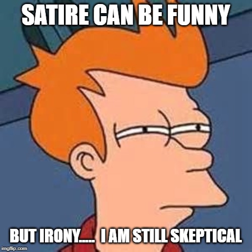 Satire fry | SATIRE CAN BE FUNNY BUT IRONY.....  I AM STILL SKEPTICAL | image tagged in satire fry | made w/ Imgflip meme maker
