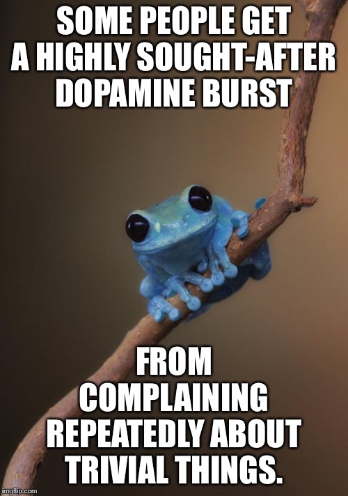 Some people complain for enjoyment | SOME PEOPLE GET A HIGHLY SOUGHT-AFTER DOPAMINE BURST; FROM COMPLAINING REPEATEDLY ABOUT TRIVIAL THINGS. | image tagged in small fact frog,memes,whine,happy,triggered,people | made w/ Imgflip meme maker