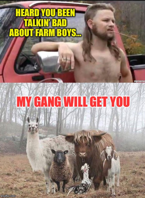 Farm Life | HEARD YOU BEEN TALKIN’ BAD ABOUT FARM BOYS... MY GANG WILL GET YOU | image tagged in almost politically correct redneck,farm animals,gangsters,farm,thug life | made w/ Imgflip meme maker