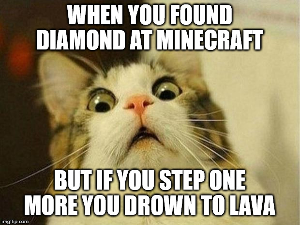 Scared Cat | WHEN YOU FOUND DIAMOND AT MINECRAFT; BUT IF YOU STEP ONE MORE YOU DROWN TO LAVA | image tagged in memes,scared cat | made w/ Imgflip meme maker