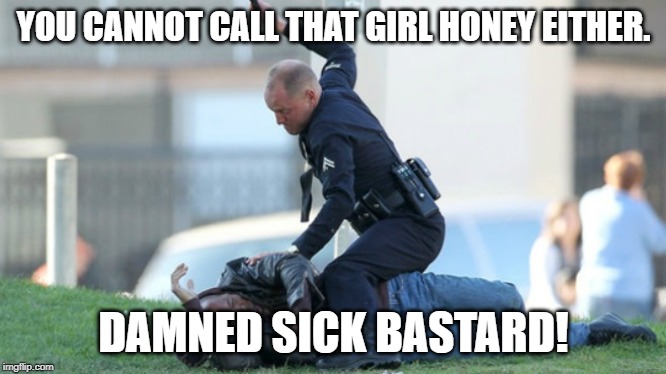 Cop Beating | YOU CANNOT CALL THAT GIRL HONEY EITHER. DAMNED SICK BASTARD! | image tagged in cop beating | made w/ Imgflip meme maker