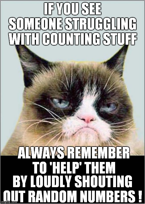 Grumpys Helpful Numerical Advice | IF YOU SEE SOMEONE STRUGGLING WITH COUNTING STUFF; ALWAYS REMEMBER TO 'HELP' THEM; BY LOUDLY SHOUTING OUT RANDOM NUMBERS ! | image tagged in fun,grumpy cat,counting | made w/ Imgflip meme maker