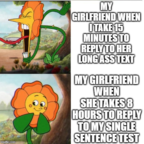 Cuphead Flower | MY GIRLFRIEND WHEN I TAKE 15 MINUTES TO REPLY TO HER LONG ASS TEXT; MY GIRLFRIEND WHEN SHE TAKES 8 HOURS TO REPLY TO MY SINGLE SENTENCE TEST | image tagged in cuphead flower | made w/ Imgflip meme maker