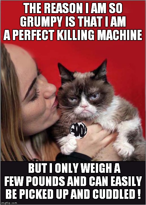 Grumpy on 'Why I'm So Grumpy' | THE REASON I AM SO GRUMPY IS THAT I AM A PERFECT KILLING MACHINE; BUT I ONLY WEIGH A FEW POUNDS AND CAN EASILY BE PICKED UP AND CUDDLED ! | image tagged in fun,grumpy cat,misery | made w/ Imgflip meme maker
