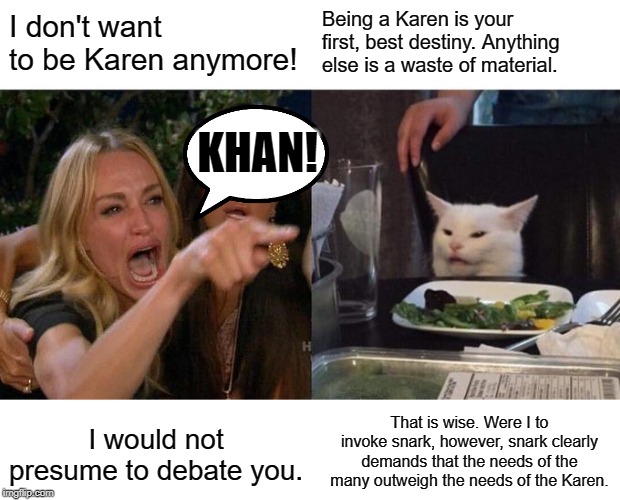 Woman Yelling At Cat | I don't want to be Karen anymore! Being a Karen is your first, best destiny. Anything else is a waste of material. KHAN! That is wise. Were I to invoke snark, however, snark clearly demands that the needs of the many outweigh the needs of the Karen. I would not presume to debate you. | image tagged in memes,woman yelling at cat | made w/ Imgflip meme maker