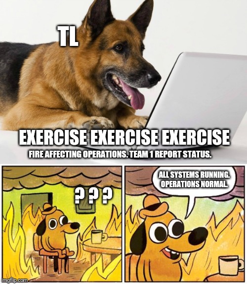 TL; EXERCISE EXERCISE EXERCISE; FIRE AFFECTING OPERATIONS. TEAM 1 REPORT STATUS. ALL SYSTEMS RUNNING. OPERATIONS NORMAL. ? ? ? | image tagged in dog reading emails,this is fine blank,military,military humor,ive made a huge mistake,missed the point | made w/ Imgflip meme maker