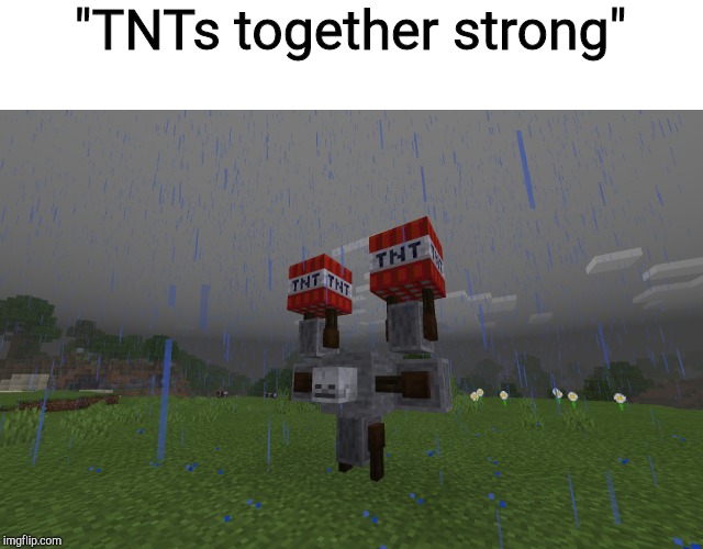 Dual weilder | "TNTs together strong" | image tagged in dual weilder | made w/ Imgflip meme maker