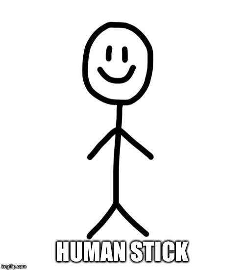Stick figure | HUMAN STICK | image tagged in stick figure | made w/ Imgflip meme maker
