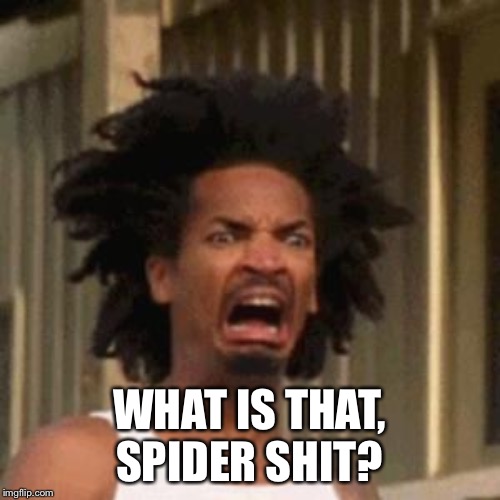 crab man eww | WHAT IS THAT, SPIDER SHIT? | image tagged in crab man eww | made w/ Imgflip meme maker